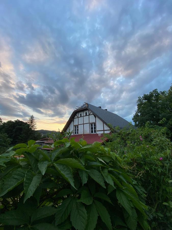 Apartamento Zloty Zakatek Złoty Stok Exterior foto